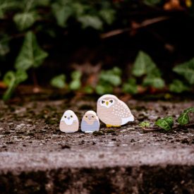 Eperfa Éjjeli állatok  - kuvik