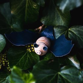 Eperfa Patkósorrú denevér - nyitott szárnyú