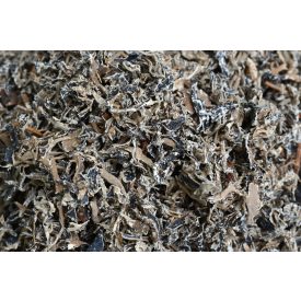 Izlandi Zuzmó vágott