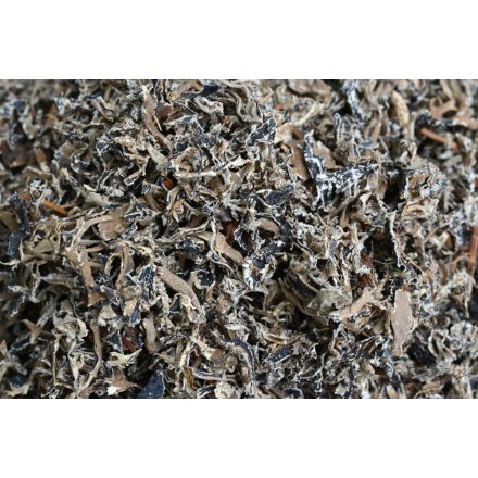 Izlandi Zuzmó vágott